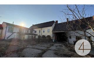 Haus kaufen in 3580 Horn, Alter großer Hof mit Nebengebäude und Halle