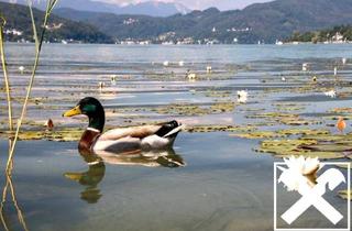 Grundstück zu kaufen in 9210 Pörtschach am Wörther See, Preisreduktion! Ebenes Grundstück in Pörtschach am Wörthersee