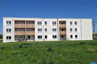 Wohnung mieten in Brucknerstraße 12, 4961 Mühlheim am Inn, ÜBERGABE MAI 2025 - ERSTBEZUG 3-Zimmer Whg. Top 10 im 1. OG - Mühlheim am Inn