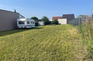 Grundstück zu kaufen in 7141 Podersdorf am See, Baugrund in Podersdorf am See