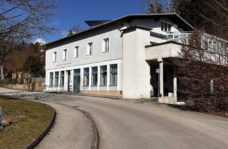 Büro zu mieten in 3270 Scheibbs, Büro, Geschäftslokal, Ordination