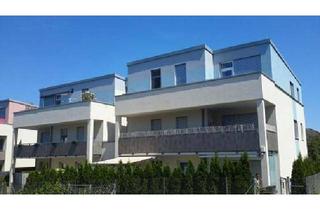 Wohnung mieten in Höhenstraße 29/6, 3373 Kemmelbach, Geförderte Miete mit Kaufoption | Balkon.