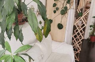 Wohnung mieten in Volkergasse 3, 1150 Wien, Möblierte 32m Wohnung zur Untermiete 1150