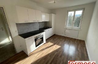 Wohnung mieten in 3150 Wilhelmsburg, Neu sanierte 3-Zimmer-Wohnung ab 15.05 bezugsfertig
