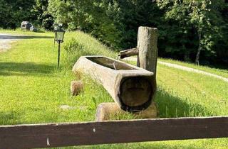 Gewerbeimmobilie kaufen in 9135 Bad Eisenkappel, Südkärnten: Authentisches Gut im Naturparadies