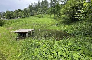 Gewerbeimmobilie kaufen in 9135 Bad Eisenkappel, Südkärnten: Authentisches Gut im Naturparadies