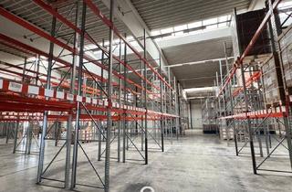 Büro zu mieten in 4614 Marchtrenk, Lager-/Logistikhalle in Marchtrenk nähe Autobahn.