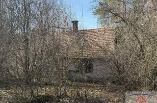 Haus kaufen in 8181 Mitterdorf an der Raab, Grundstück in Traumlage zwischen Gleisdorf und Weiz zu verkaufen!