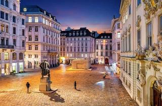 Wohnung kaufen in Judenplatz, 1010 Wien, Wohnung im Herzen der Altstadt von Wien (Nähe Judenplatz)
