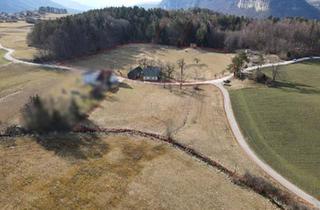 Gewerbeimmobilie kaufen in 9173 Gotschuchen, Hofstelle für Selbstversorger mit Wald und Landw. Flächen
