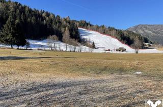 Gewerbeimmobilie kaufen in 5582 Sankt Michael im Lungau, Landwirtschaftliches Grundstück