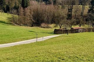 Grundstück zu kaufen in 4111 Walding, Baugrund mit atemberaubenden Ausblick - Aufgeschlossen & ohne Bauzwang.