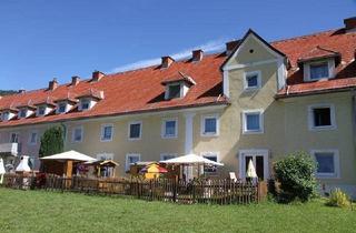 Wohnung mieten in Dr. Karl Renner Ring, 8940 Liezen, Mietwohnung in Liezen