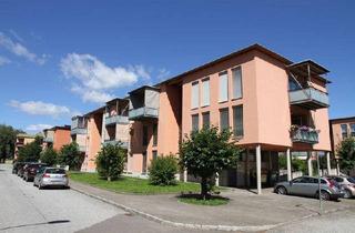 Wohnung mieten in Hauergasse 10, 8740 Zeltweg, Mietwohnung mit Kaufoption in Zeltweg