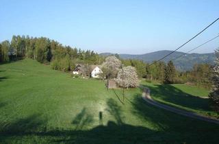 Haus kaufen in Weikertschlag 36, 3972 Weikertschlag, Traumhafte Einzellage! Weitblick!