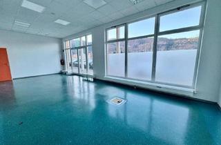 Büro zu mieten in 8700 Leoben, Büro mit Auslage im Gewerbezentrum Leoben | 2 Räume | IMS Immobilien KG