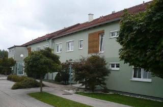 Wohnung mieten in Straß 27, 4924 Waldzell, Erdgeschosswohnung mit Charme!