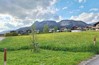 Grundstück zu kaufen in 6673 Grän, "Sonne, Aussicht & Lebensqualität!" - Baugrundstück in Grän zu verkaufen