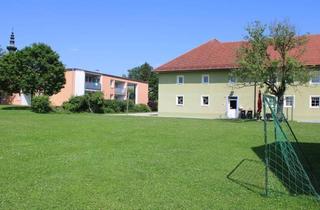 Immobilie mieten in 4611 Buchkirchen, Ordinations-, Kanzlei-, Büroräumlichkeiten in Buchkirchen bei Wels zu vermieten