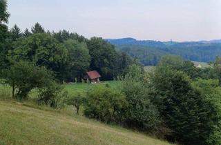 Agrarfläche kaufen in 8453 Sankt Johann im Saggautal, 8453 Untergreith - Alleinlage mit unverbaubarer Aussicht - genehmigter Projektplan !