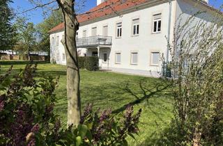 Büro zu mieten in 2483 Weigelsdorf, ERSTBEZUG nach RENOVIERUNG + BÜRO + SCHÖNER BLICK in den GARTEN!
