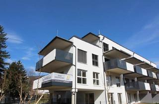 Wohnung mieten in Andreas-Hofer-Straße 13, 8020 Graz, TOP AUSGESTATTETE 2-ZIMMER-WOHNUNG MIT GROSSEM BALKON UND TIEFGARAGE - ERSTBEZUG!
