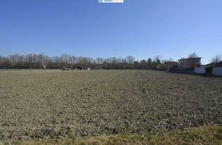 Grundstück zu kaufen in Großweikersdorf, 3701 Großwiesendorf, Idyllisches Grundstück in Großwiesendorf: 817m² für nur 131.000 €! Ihr Traum wartet!