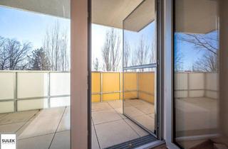Wohnung mieten in Am Bahndamm 23, 7000 Eisenstadt, 3 Zimmer Wohnung mit Südbalkon - hell, freundlich, gut geschnitten! Miete inkl. 2 KFZ-Stellplätzen!