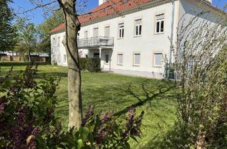 Büro zu mieten in 2483 Ebreichsdorf, ERSTBEZUG nach RENOVIERUNG + BÜRO + SCHÖNER BLICK in den GARTEN!