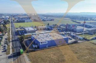 Büro zu mieten in 4614 Marchtrenk, Vielseitige Lager- und Produktionshalle mit Büro in Top-Lage von Marchtrenk zu vermieten! 2.500 KVA vorhanden!