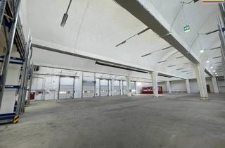 Büro zu mieten in 3133 Traismauer, Multifunktional - Fertigung, Lagerung, Logistik, Büro
