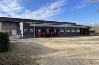 Büro zu mieten in 3133 Traismauer, Multifunktional - Fertigung, Lagerung, Logistik, Büro