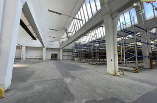 Büro zu mieten in 3133 Traismauer, Multifunktional - Fertigung, Lagerung, Logistik, Büro