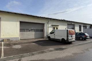 Büro zu mieten in Payer-Weyprecht-Straße, 8020 Graz, Halle/Lager + Büro -> Konfigurierbar je nach Anforderung von 1 Zimmer - 13 Zimmer