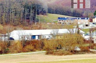 Gewerbeimmobilie kaufen in 3003 Gablitz, Vermietete Halle in Gablitz, Grundstück 5473m², Nutzfläche ca. 2076m², erweiterbar um ca. 540m², freie Teilfläche derzeit ca. 200m², Rendite ca. 6,6%!