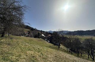 Grundstück zu kaufen in Lindenweg, 8121 Prenning, Einzigartiges Baugrundstück in Prenning bei Deutschfeistritz – 3.700 m², aufteilbar in 7 Parzellen