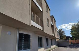 Wohnung mieten in Kirchengasse 113/12, 2042 Guntersdorf, Top 12 | 2 Zi -Balkonwohnung | geförderte Miete mit Kaufoption