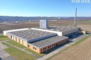Gewerbeimmobilie kaufen in Industrieparkstraße, 8480 Mureck, Industrieobjekt mit Gleisanschluss (Anlage und Eigennutzung)