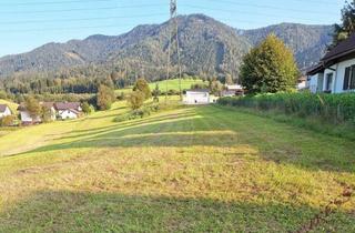 Grundstück zu kaufen in 8662 Mitterdorf im Mürztal, Aktion!! 6265 m2 Eigengrund! Kein Bauzwang! Ruhelage und Aussicht!