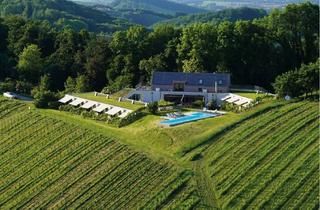 Wohnung kaufen in 8473 Weitersfeld an der Mur, Luxuriöser Zweitwohnsitz in der Südsteiermark - 3 Zimmer Residenz mit Infinty Pool