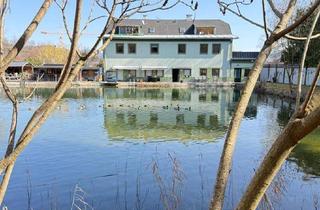 Gewerbeimmobilie kaufen in Poganzerstraße, 9300 Sankt Veit an der Glan, Mietwohnhaus mit Naturbadeanlage und Wasserrecht!