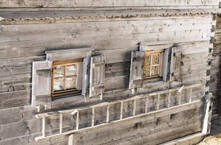 Bauernhäuser zu kaufen in 9863 Rennweg, Zweitwohnsitz oder touristische Vermietung!Urige Troadkasten-Almhütte "Wurzelhütte" am Katschberg