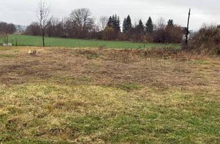 Grundstück zu kaufen in 8330 Feldbach, Baugrundstück in Feldbach Zentrumnähe