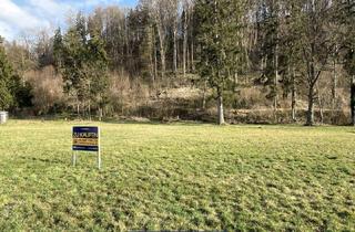 Grundstück zu kaufen in 4055 Pucking, Ebenes Baugrundstück in Pucking - ohne Bauzwang - zu verkaufen