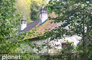 Haus kaufen in 2802 Hochwolkersdorf (Dorf), Erhaltenswertes Objekt im Grünland
