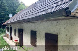Haus kaufen in 2802 Hochwolkersdorf (Dorf), Erhaltenswertes Objekt im Grünland