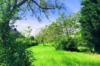 Grundstück zu kaufen in 7091 Breitenbrunn am Neusiedler See, Baugrund 4 in Höhenlage am Naturschutzgebiet