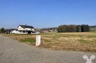 Grundstück zu kaufen in 8151 Hitzendorf, Voll aufgeschlossenes Baugrundstück in Attendorf