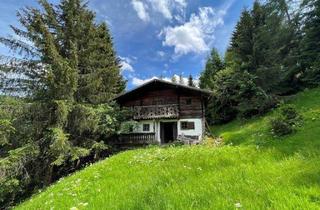 Almhütte zu kaufen in 5505 Mühlbach am Hochkönig, Urige Almhütte in Alleinlage in Mühlbach am Hochkönig