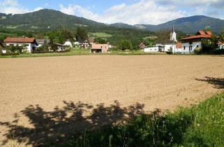 Grundstück zu kaufen in 9400 Wolfsberg, Grundstücke in Wolfsberg am Haydnweg